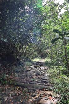 Chemin de pierre pour atteindre la cascade - Grande Tarde Waterfall Mahé