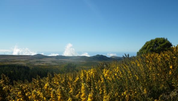 Sommet de Bica da Cana Unhais da Serra