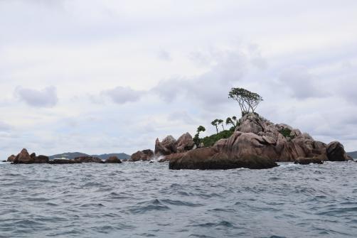 Excursion en bateau Coco Island, Grande-Sœur et Félicité 