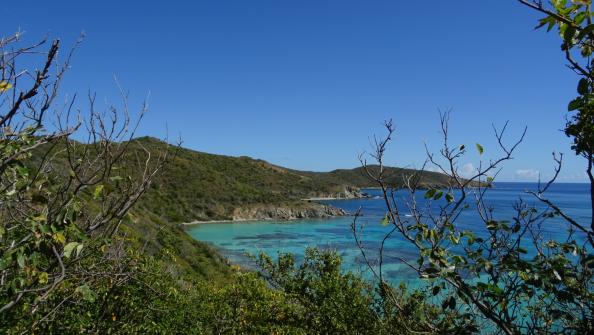 Money Bay - Norman Island 