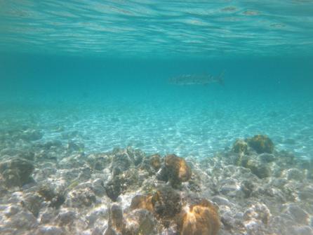 Norman Island 