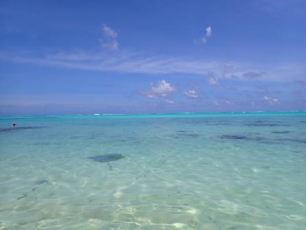  Plage Publique de Tiahura Hauru