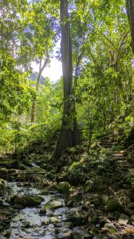 Randonnée du Col des Trois Cocotiers 