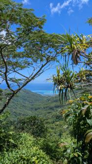 Randonnée du Col des Trois Cocotiers 