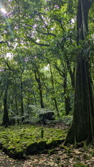 Sentier des Ancêtres 