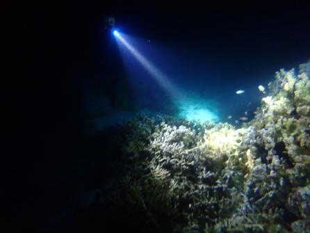 Excursion snorkeling de nuit Plage de Temae